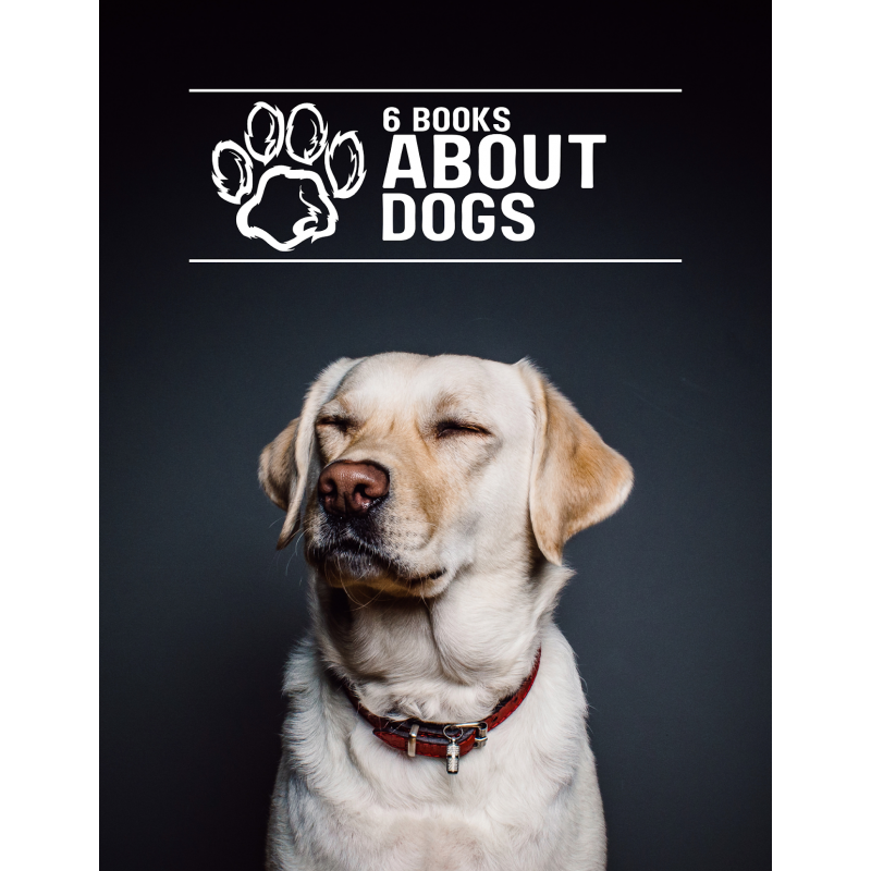 Dog Online Course