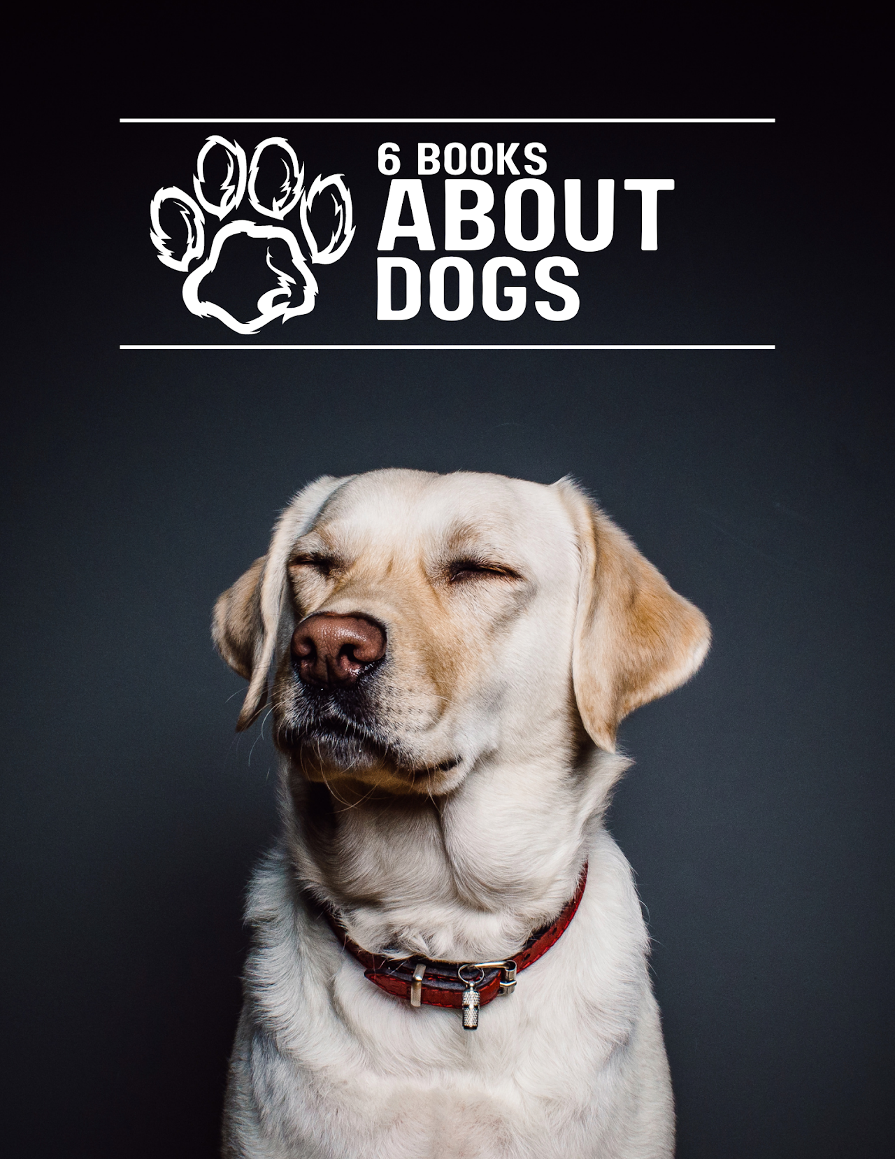 Dog Online Course